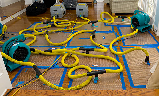 Professional Storm Water Damage Restoration technician working in Warren, ME